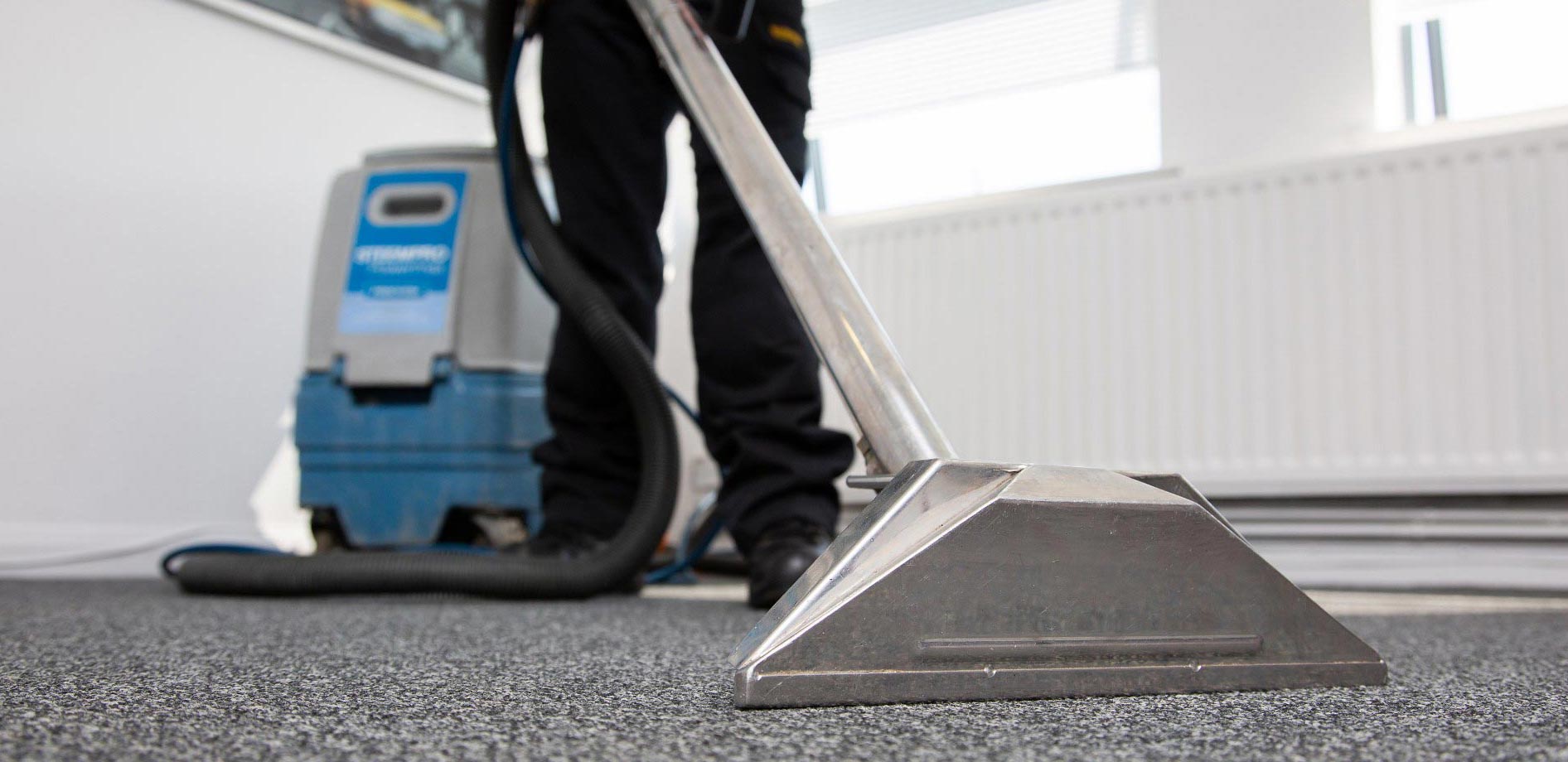 Professional Carpet Cleaning